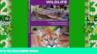 Big Deals  Florida Wildlife: A Folding Guide to Familiar Animals (Pocket Naturalist Guide Series)