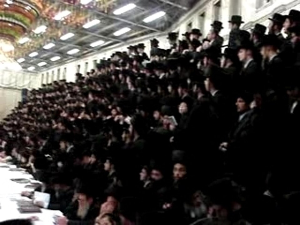 Tish a souccot chez les Belz