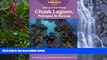 Big Deals  Diving   Snorkeling Chuuk Lagoon, Pohnpei   Kosrae (Lonely Planet Diving and Snorkeling