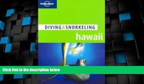 Big Deals  Lonely Planet Diving   Snorkeling Hawaii  Best Seller Books Most Wanted