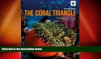 Big Deals  The Coral Triangle  Best Seller Books Best Seller