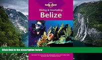 Big Deals  Lonely Planet : Diving   Snorkeling Belize  Best Seller Books Best Seller