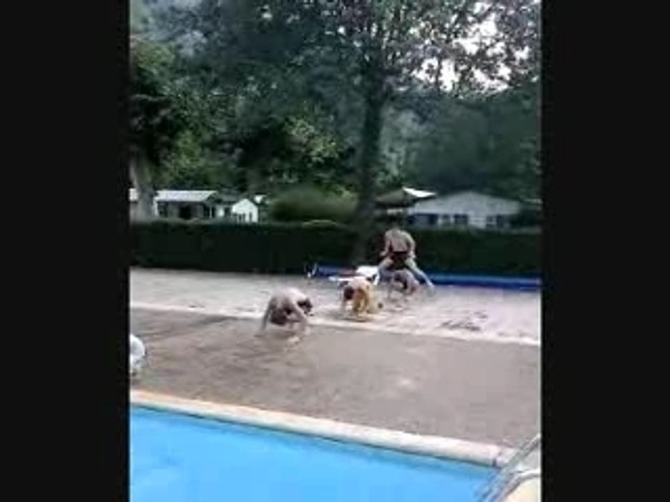 montage délire Camping " Le Pré Lombard "