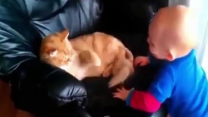 funny baby videos try not to laugh challenge impossible funny videos 2016