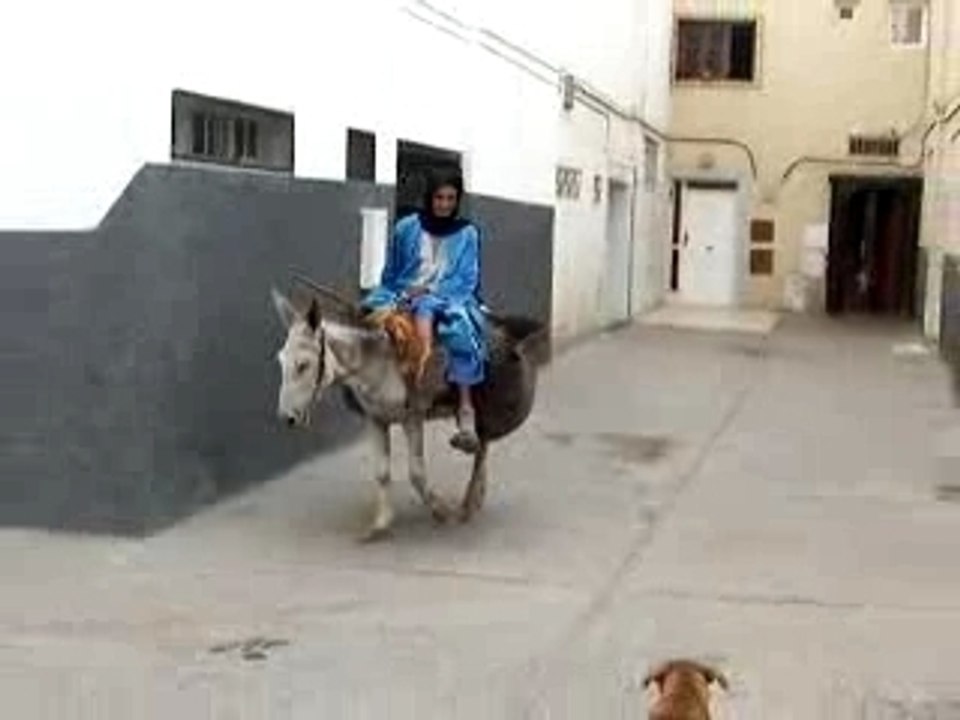 Khobse 3