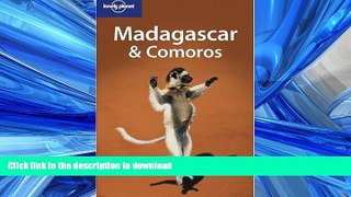 READ ONLINE Lonely Planet Madagascar   Comoros READ EBOOK