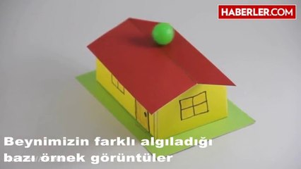 Fotoğrafta Ne Görüyorsunuz: Çöp Adam mı Kadın Vücudu mu?