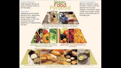 Daisy’s Catering Cafe - (708) 250-6334