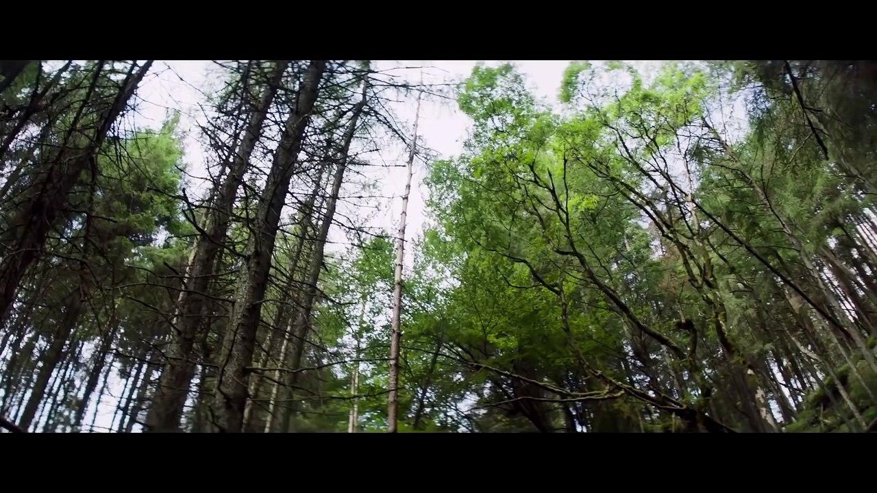 Billionaire Ransom Official Trailer #1 (2016) Phoebe Tonkin, Ed Westwick Thriller Movie HD