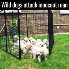 I would anything To be this guy !