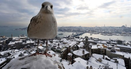 Meteoroloji Genel Müdürü: Bu Yıl Kış Çetin Geçmeyecek