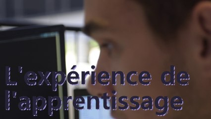 Apprentissage dans le service publique #3-L'expérience de l'apprentissage