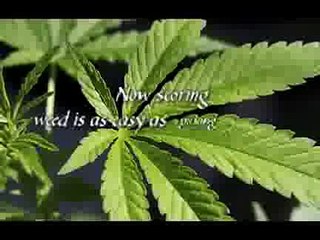 The Whitest Kids U Know S02E08