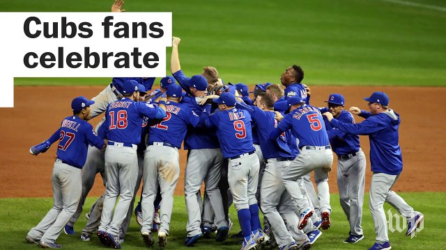 Cubs fans celebrate World Series win