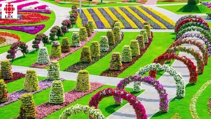 দেখুন দুবাইয়ের শেখরা বিলাসীতার নামে যা করে !