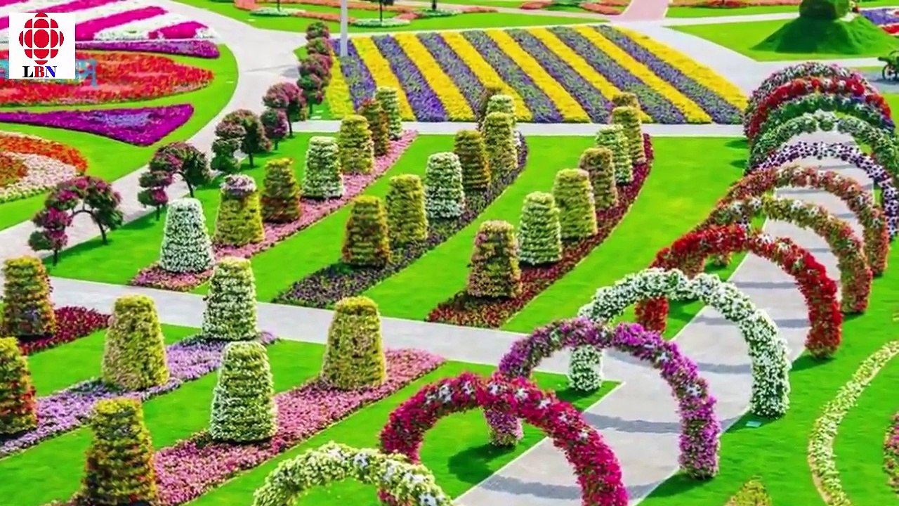 দেখুন দুবাইয়ের শেখরা বিলাসীতার নামে যা করে !