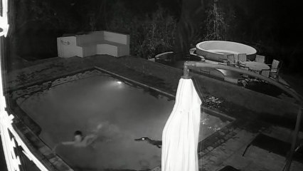 Un crocodile attaque un couple dans une piscine