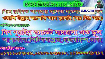 wali ullah aseki hojor nat sarif (মন যদি দিতে হয় নবীকে দিও)(360p)