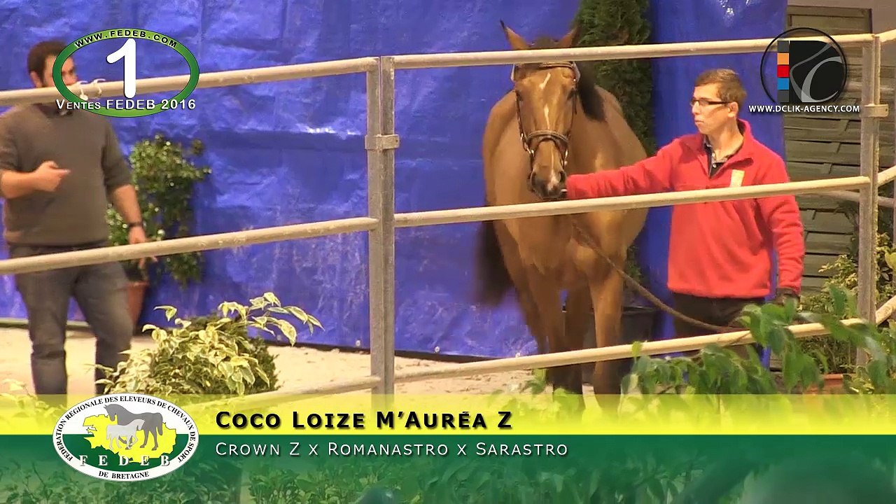 01 - Coco Loize M'Aurea Z