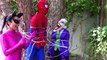 Frozen Elsa Spiderman Hulk Elsas face changes colors w Catwoman Joker pink spidergirl