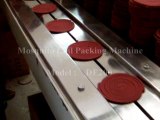 Mosquito Coil Packing Machine, Flow Wrap Machine, Horizontal Packaging Machine