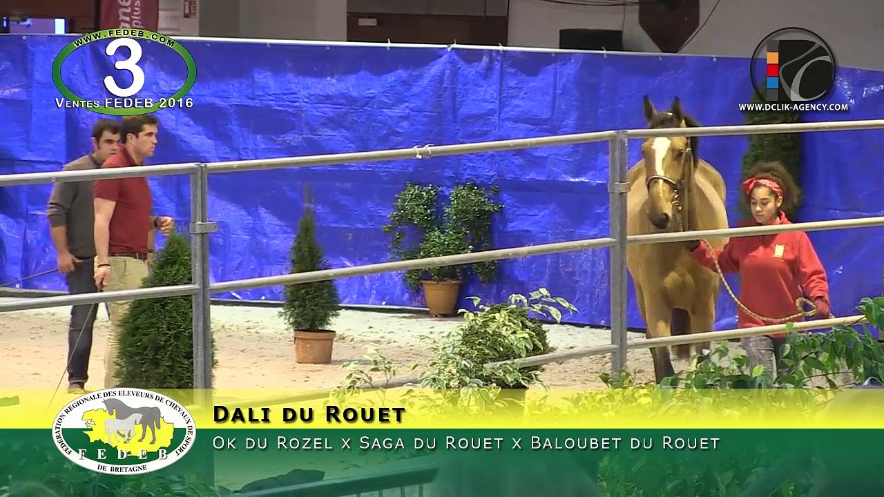 03 - Dali du Rouet