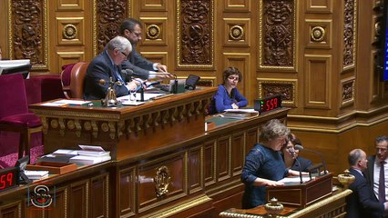 Discussion Générale Sapin II, Nouvelle lecture au Sénat, MC Blandin