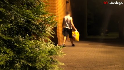 Il Cane Ragno Mutante che fa Tremare il Web