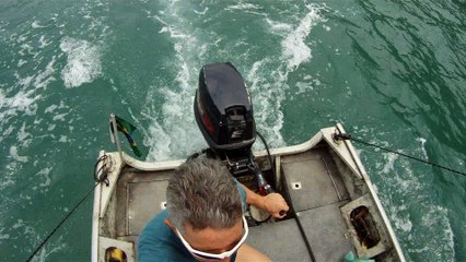 Passeio, mares, Ubatuba, SP, Brasil, vamos navegar, vamos desbravar os mares, vamos viver os mares, Marcelo Ambrogi