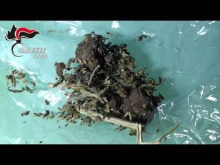 Operazione Staffetta  - Leccenews24 -