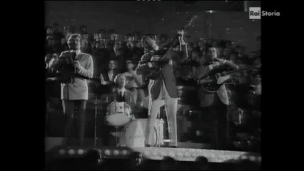I Delfini - Stasera sono solo