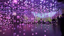 Pipilotti Rist: Pixel Forest / New Museum, New York City