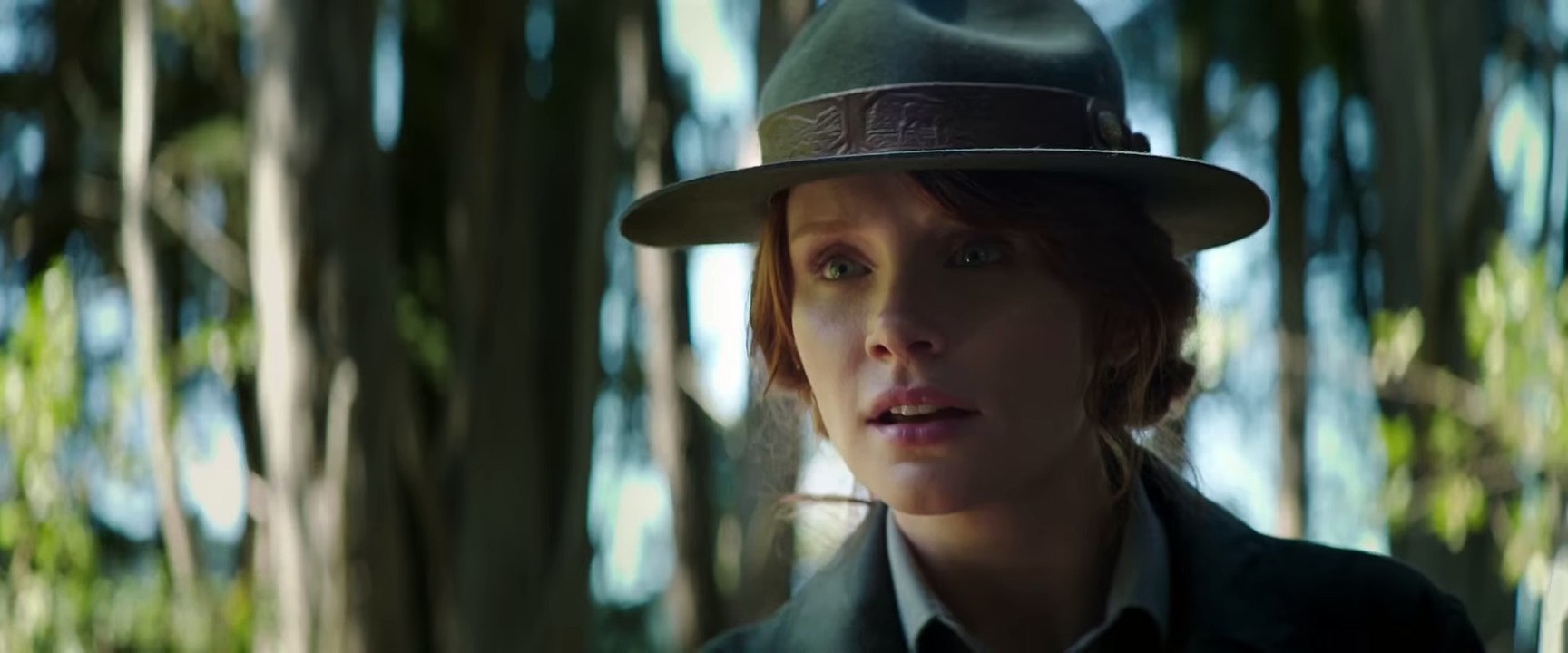 Пит и его дракон - Pete's Dragon (2016)