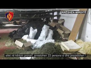 Magazina e drogës në Rrëshen, policia jep detaje: 22 të arrestuar