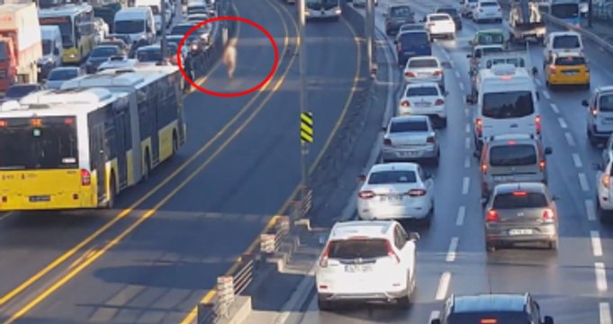 Metrobüs Yoluna Çırılçıplak Daldı, Kendisini Metrobüsün Önüne Attı