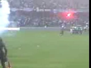 Brésil - Algérie Hooligan