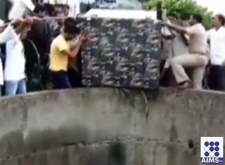 شیر کی جان بچانے کے لئے لوگوں نے کیا کیا؟ دیکھیں اس وڈیو میں