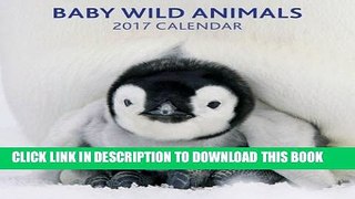 Best Seller 2017 Calendar: Baby Wild Animals Free Download