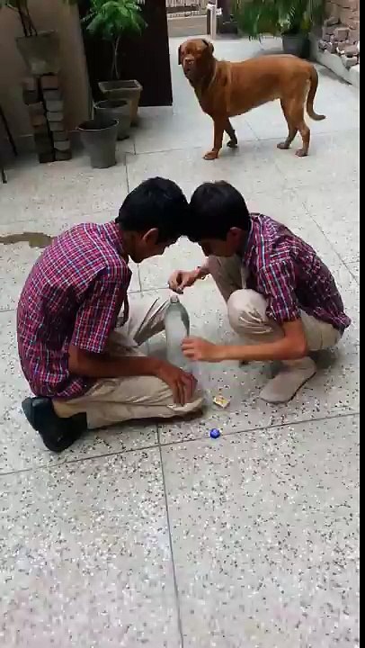 Funny video big magic