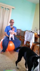 Funny Dog Crying With Baby Video