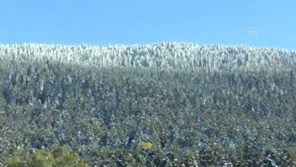 Gölcük'te Kış Güzelliği