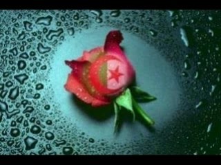 Reda Taliani & K.lina - Mat dfnouhach