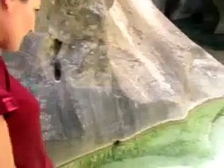 Ardahan Göle Koyunlu Köyü