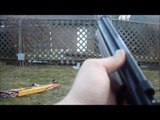 crosman 1377 target shooting #2