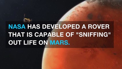NASA develops new device to ‘sniff out’ life on Mars