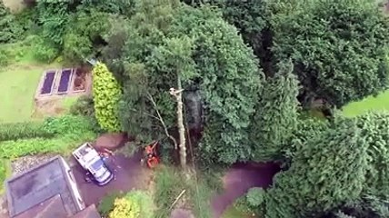 Local Tree Surgeon Eastwood Nottingham