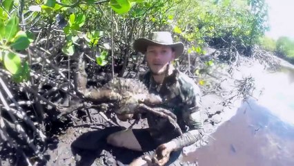 catching crabs big with bare hands || Biggest Crab in the world