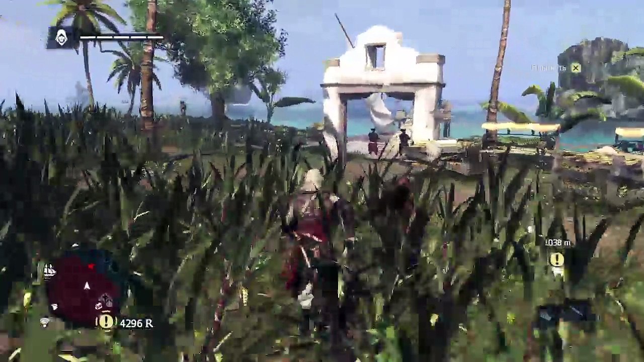 Assassins creed 4 blak flag (12)