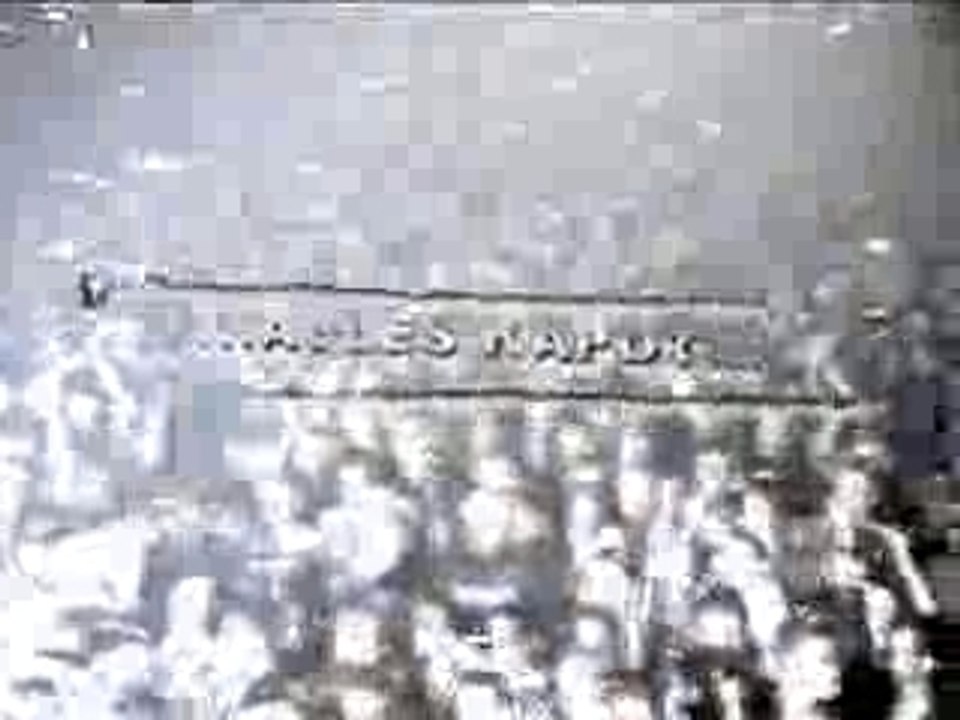 Neophyte - Alles kapot