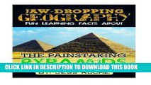Read Now Jaw-Dropping Geography: Fun Learning Facts About Painstaking Pyramids: Illustrated Fun